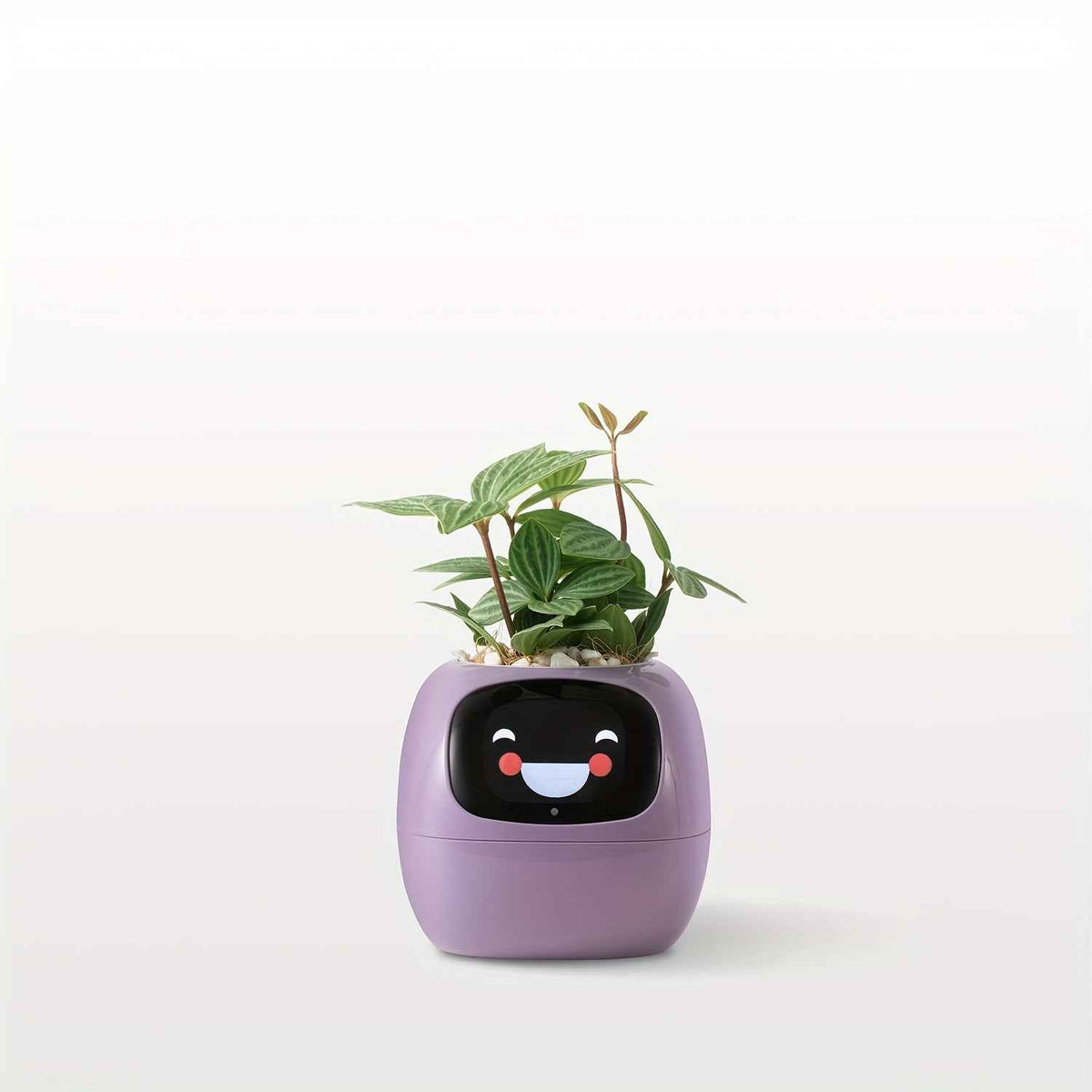 Cubidupi Smart Mini Planter Robot - Self-Watering Electronic Pet Plant Pot with Alerts, /Outdoor Plant Care, Cute Desktop Greenery Companion for Home, Office, Room - Low-Maintenance Gift (Compatible with Smart
