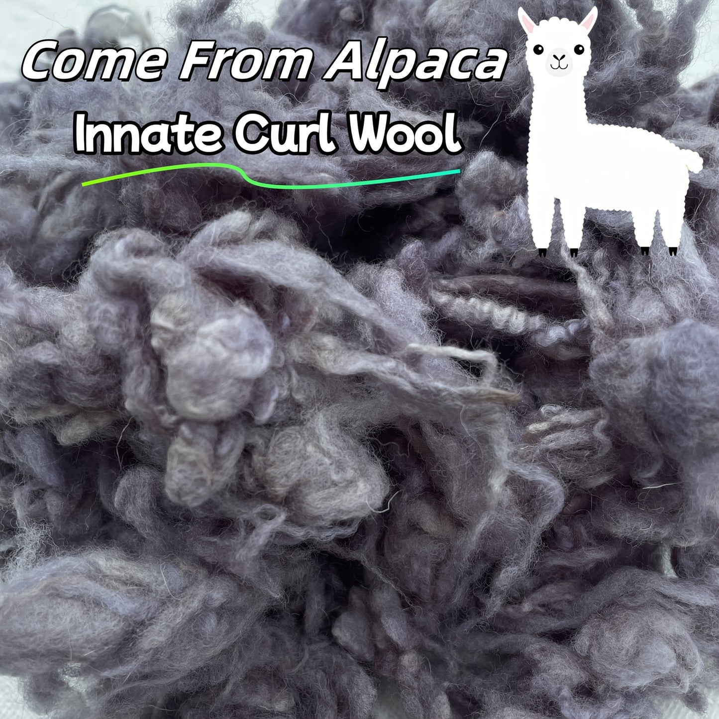 Pure Curled Alpaca Fiber – 100g/3.53oz Dyeing with Materials, Clean and Medium-Soft Texture Multi-Use Wool Curls, Ideal for Felting, Yarn Spinning, Knitting Projects, Art Dolls, Textile Figures, Tapestry Accents, Home Decor SS69
