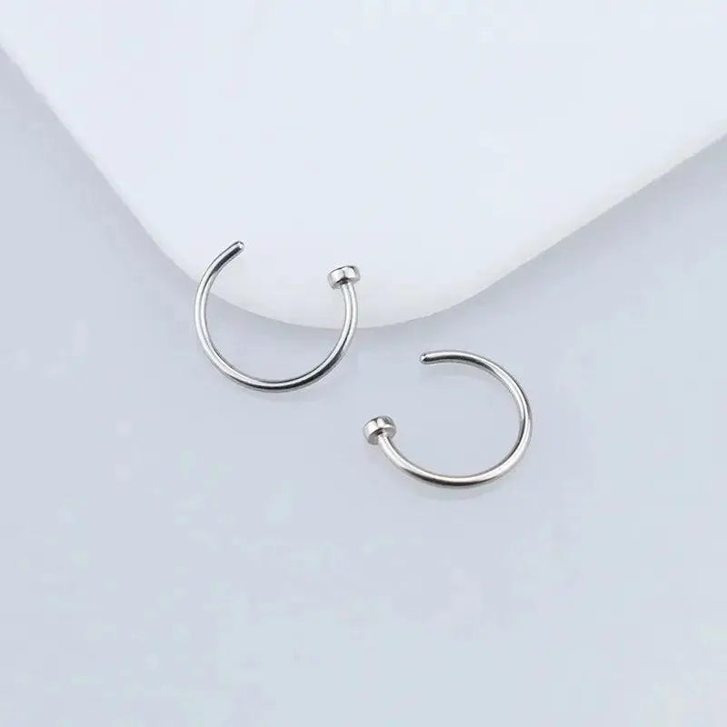 2/6Pcs Fake Nose Rings for Women, 316L Stainless Steel Lip Rings Labret Ring Nostril Hoop Piercing Studs Nose Piercing Jewelry - SS69