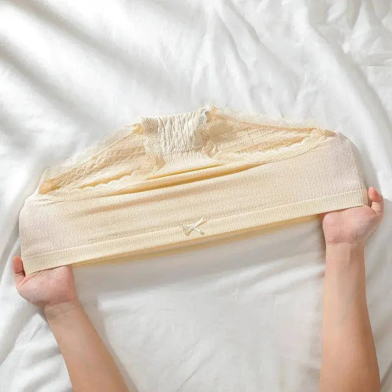 3Pcs/Set Super Elastic Panties Women Underwear Sexy Lace Seamless Briefs Girls Female Solid Color Plus Size Lingerie Fit35-100KG SS69