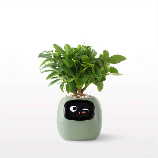 Cubidupi Smart Mini Planter Robot - Self-Watering Electronic Pet Plant Pot with Alerts, /Outdoor Plant Care, Cute Desktop Greenery Companion for Home, Office, Room - Low-Maintenance Gift (Compatible with Smart