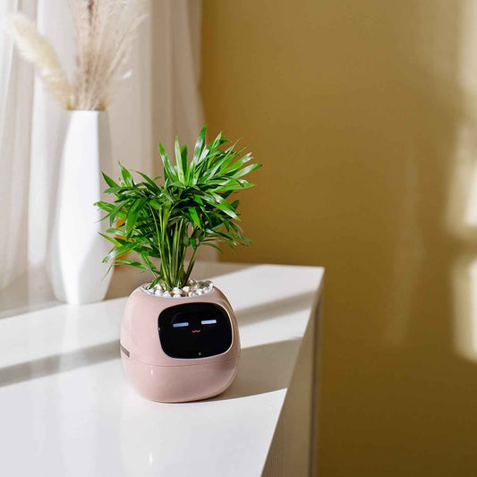 Cubidupi Smart Mini Planter Robot - Self-Watering Electronic Pet Plant Pot with Alerts, /Outdoor Plant Care, Cute Desktop Greenery Companion for Home, Office, Room - Low-Maintenance Gift (Compatible with Smart