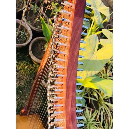 22 String harp SOLID ROSEWOOD Extra Strings & Carrying case Great for Teenagers