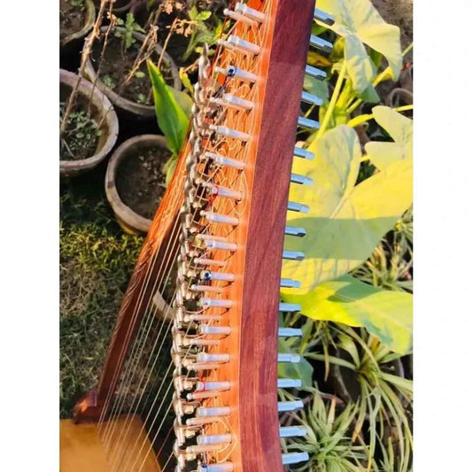 22 String harp SOLID ROSEWOOD Extra Strings & Carrying case Great for Teenagers