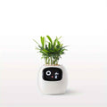 Cubidupi Smart Mini Planter Robot - Self-Watering Electronic Pet Plant Pot with Alerts, /Outdoor Plant Care, Cute Desktop Greenery Companion for Home, Office, Room - Low-Maintenance Gift (Compatible with Smart