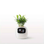 Cubidupi Smart Mini Planter Robot - Self-Watering Electronic Pet Plant Pot with Alerts, /Outdoor Plant Care, Cute Desktop Greenery Companion for Home, Office, Room - Low-Maintenance Gift (Compatible with Smart