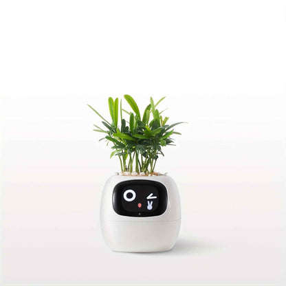 Cubidupi Smart Mini Planter Robot - Self-Watering Electronic Pet Plant Pot with Alerts, /Outdoor Plant Care, Cute Desktop Greenery Companion for Home, Office, Room - Low-Maintenance Gift (Compatible with Smart
