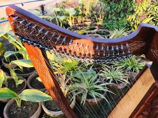 22 String harp SOLID ROSEWOOD Extra Strings & Carrying case Great for Teenagers