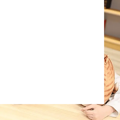 Chubby Cat Plush Adorable Hugging Pillow - SS69