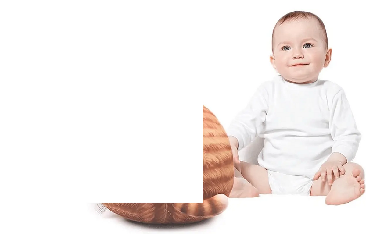 Chubby Cat Plush Adorable Hugging Pillow - SS69