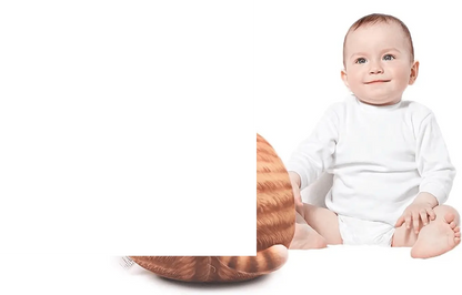 Chubby Cat Plush Adorable Hugging Pillow - SS69