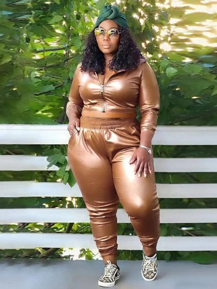 Curvy Woman Clothes Plus Size Autumn Long Sleeve Top Leather Jacket and Pants 2 Piece Sexy Outfits Wholesale Bulk Free Shipping SS69 52.69 Brown / XXL