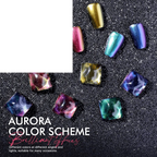 Fingernail Nail Polish Set: Holographic Metallic Lacquer Air Dry - SS69