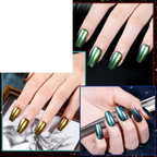 Fingernail Nail Polish Set: Holographic Metallic Lacquer Air Dry - SS69