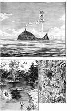 HUNTER X HUNTER Volume 1-32 Yoshihiro Togashi Fantasy Manga Japan Jump kids child Comic Book Language Chinese Random 1 Book SS69