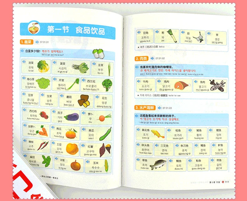 Beginning Korean Entry Diagram Pronounced Words Grammar Spoken Book Korean Zero-based Learning Korean Books SS69