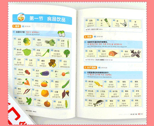 Beginning Korean Entry Diagram Pronounced Words Grammar Spoken Book Korean Zero-based Learning Korean Books SS69