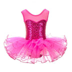 NEW Girls Silver Ballerina Fairy Prom Party Costume  Kids Sequined Flower Dress Dancewear for Stage PerformanceBallet Tutu Dress