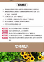 Zero Basic Self-study Japanese,English,Korean Easy to Learn Japanese Words Teaching Material Book for Beginer SS69