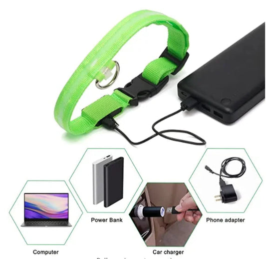 Usb Charging Glowing Dog Collar With Pendant Detachable Luxury Led Light Bright For Small Dogs Cat Night Safety Collar Wholesale SS69