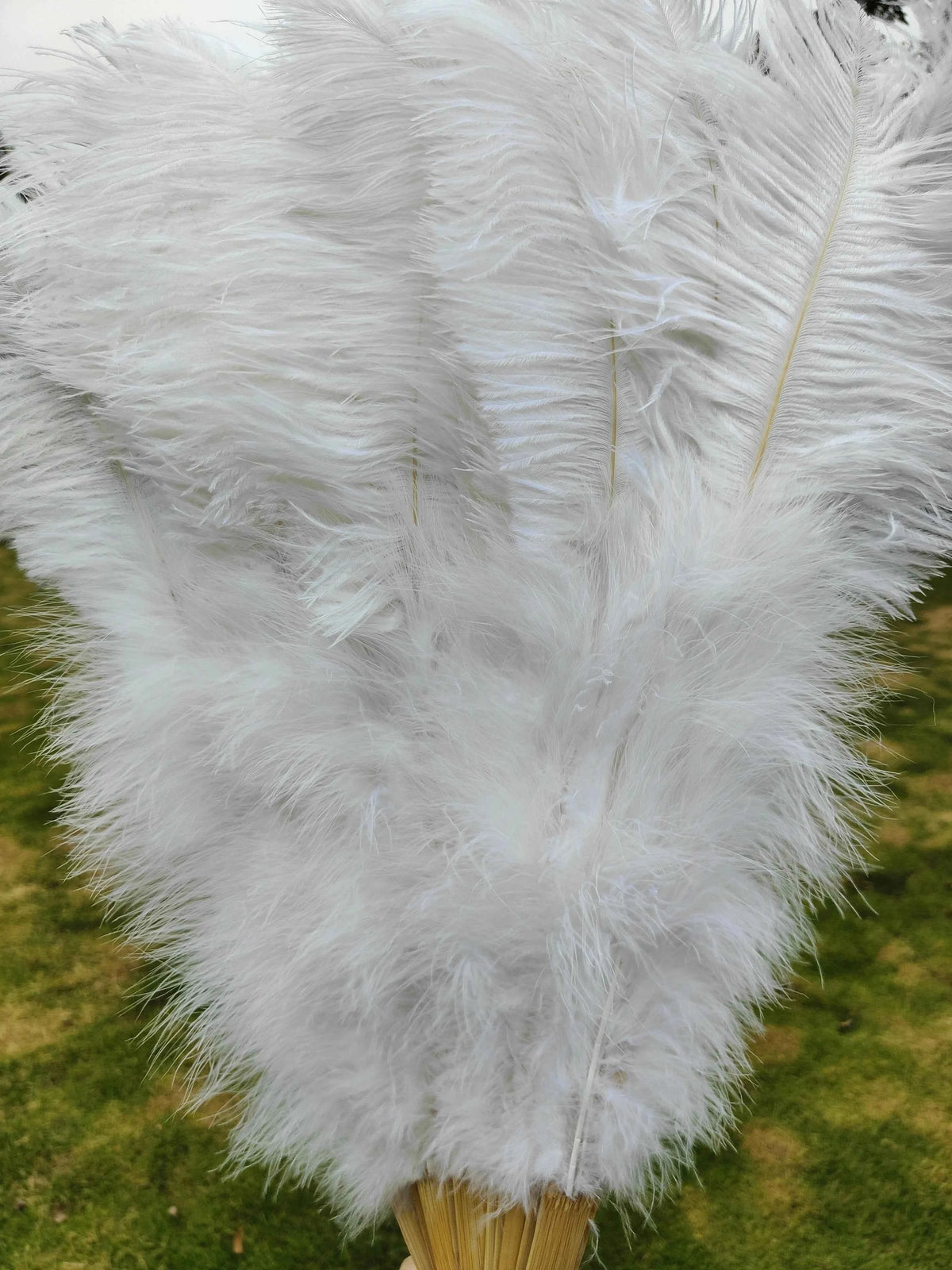 Handheld Big White Ostrich Feather Fan 100CM 130CM Feathers for Carnival Stage Performance Belly Dance 13 Bone Crafts Fan