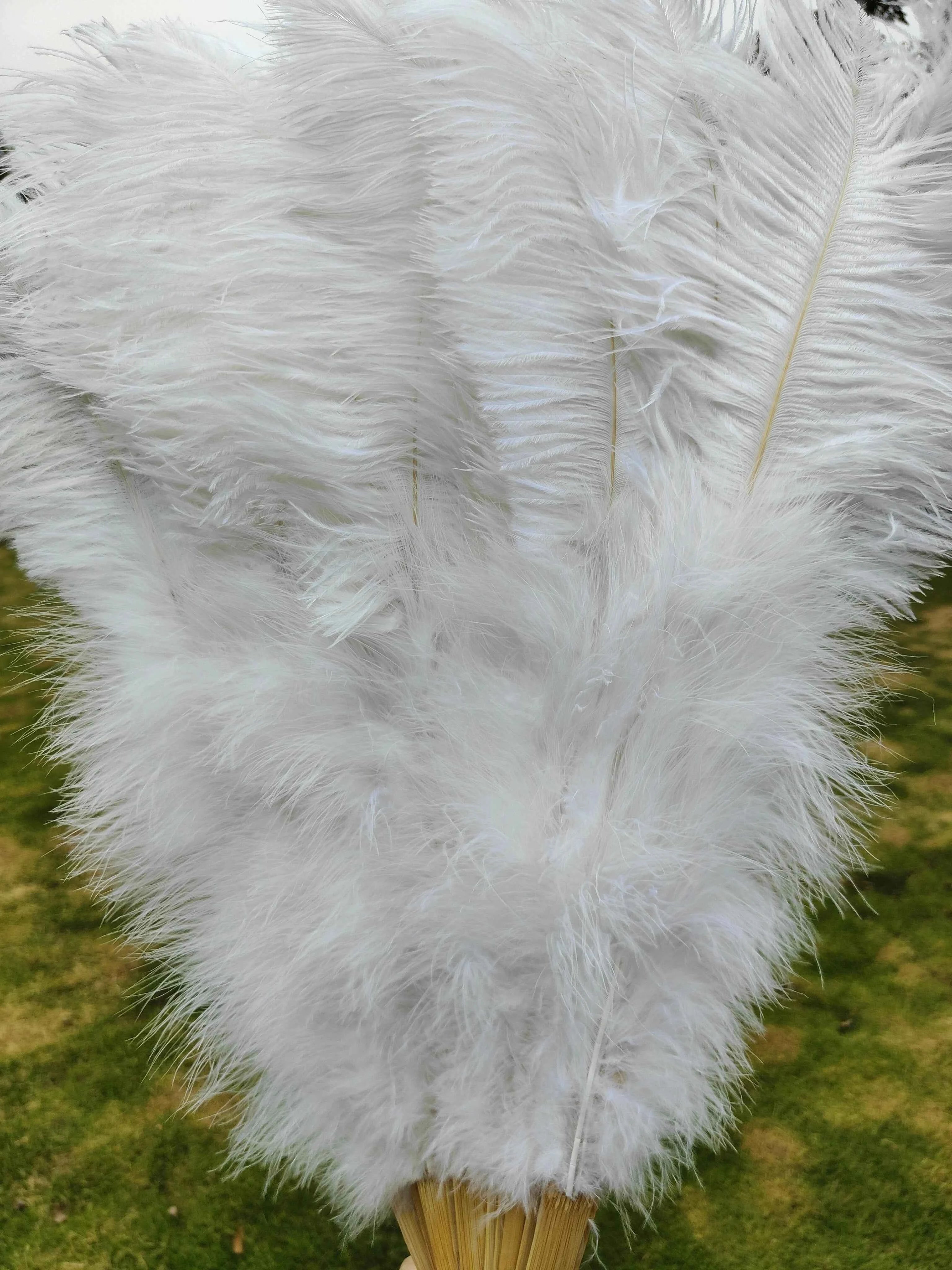 Handheld Big White Ostrich Feather Fan 100CM 130CM Feathers for Carnival Stage Performance Belly Dance 13 Bone Crafts Fan