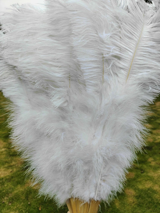 Handheld Big White Ostrich Feather Fan 100CM 130CM Feathers for Carnival Stage Performance Belly Dance 13 Bone Crafts Fan