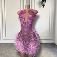Stunning Sparkly Luxury Diamond Women Birthday Party Cocktail Gowns Sexy Sheer Pink Feather Mini Short Prom Dresses 2025 SS69 233.69 Pink / 16