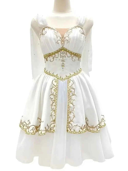 Romantic Ballet Long Tutu Custome Size Made Ballet Costumes Tutu the Awakening of Flora Tutu  Dawn Goddess Ballet Competition P