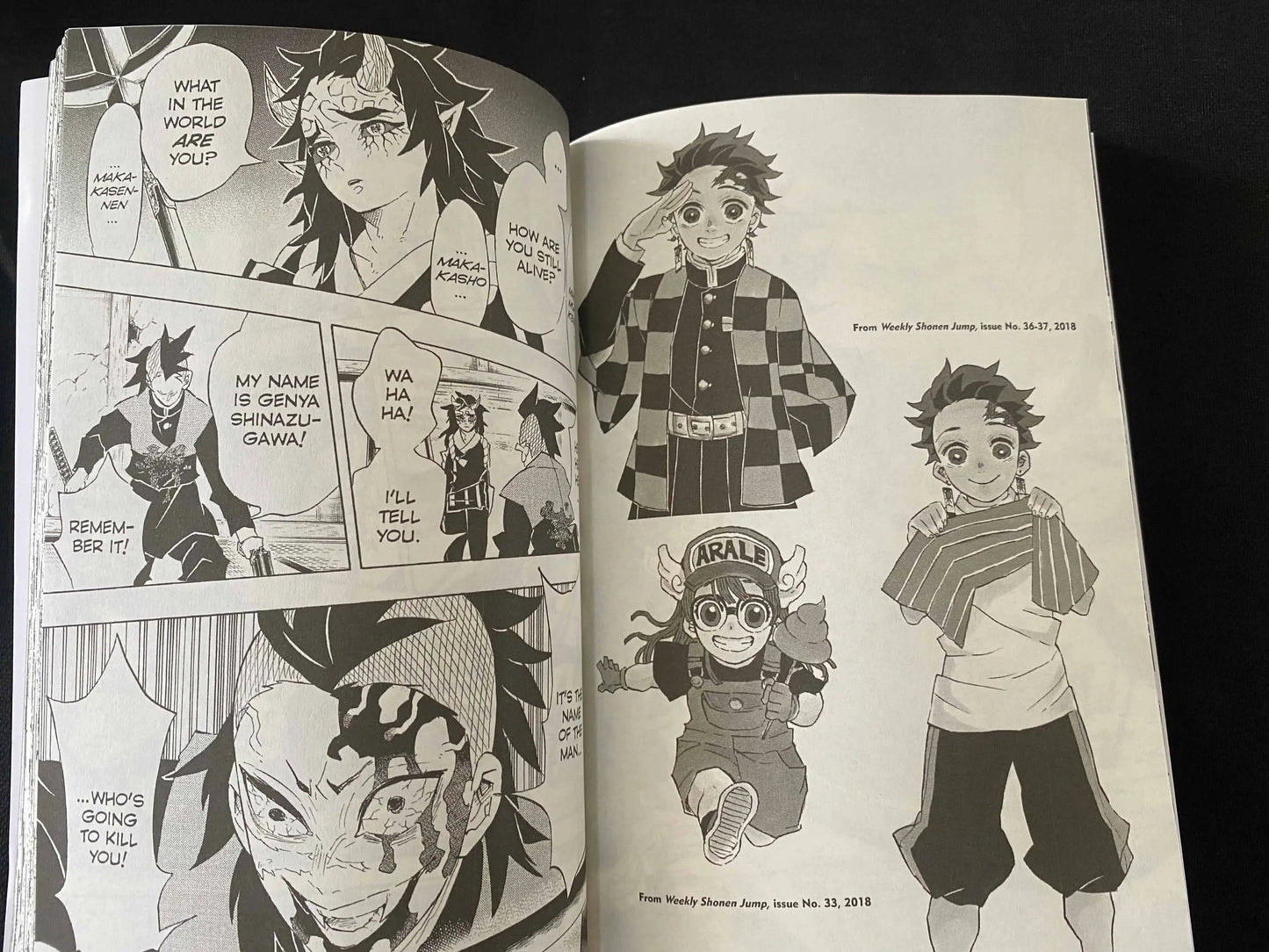 Demon Slayer Kimetsu No Vol 1-23 Yaiba Japan Youth Teen Fantasy Science Mystery Suspense Manga Comic Book Manga Books in English SS69