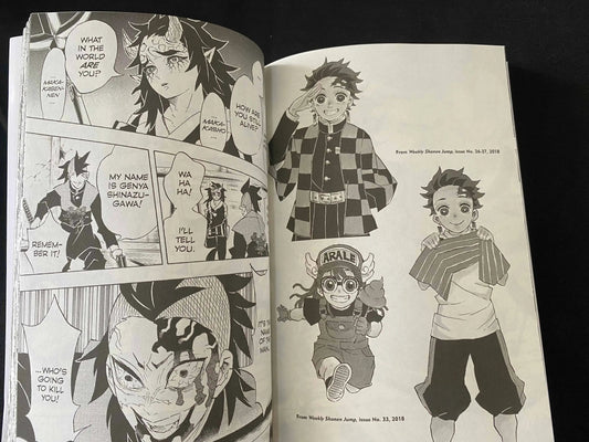 Demon Slayer Kimetsu No Vol 1-23 Yaiba Japan Youth Teen Fantasy Science Mystery Suspense Manga Comic Book Manga Books in English SS69