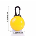 Usb Charging Glowing Dog Collar With Pendant Detachable Luxury Led Light Bright For Small Dogs Cat Night Safety Collar Wholesale SS69