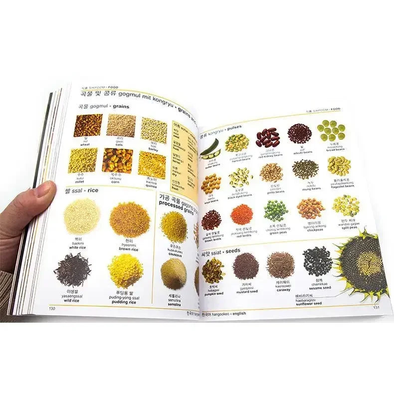 DK Korean English Bilingual Visual Dictionary Bilingual Contrastive Graphical Dictionary Book DIFUYA SS69