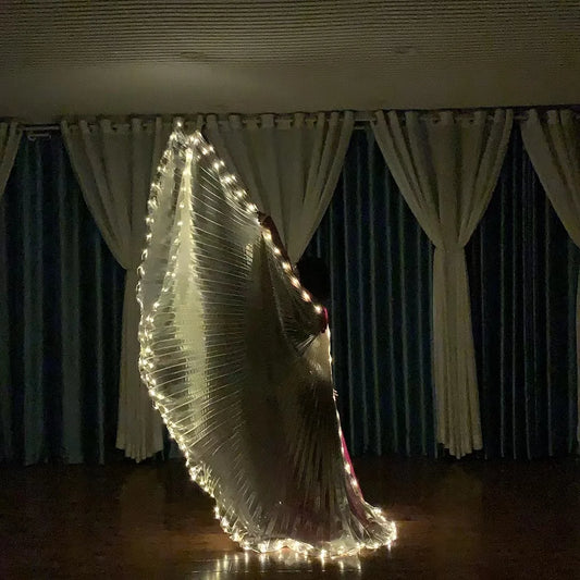 Belly Dance LED Isis Wings Both Sides Fluorescent Butterfly Performance Belly Dancing Bellydance Carnival Led Costumes Shows