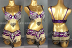 Sexy Girl Belly Dance Costume Wear Bar+Belt 2pc Set 10 Colors Ladies Bellydancing Costumes Bellydance Clothes