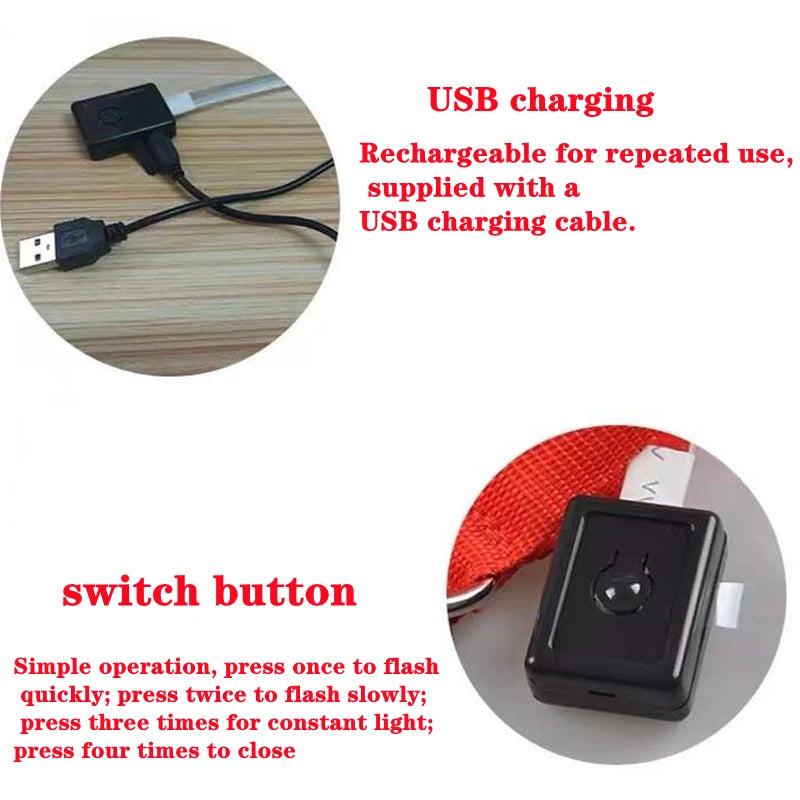 Usb Charging Glowing Dog Collar With Pendant Detachable Luxury Led Light Bright For Small Dogs Cat Night Safety Collar Wholesale SS69