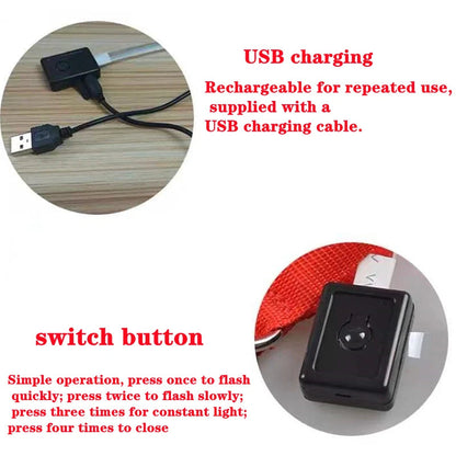 Usb Charging Glowing Dog Collar With Pendant Detachable Luxury Led Light Bright For Small Dogs Cat Night Safety Collar Wholesale SS69