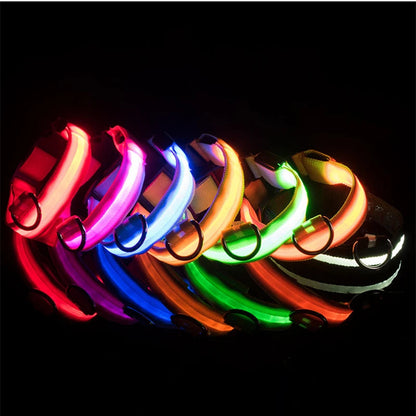 Usb Charging Glowing Dog Collar With Pendant Detachable Luxury Led Light Bright For Small Dogs Cat Night Safety Collar Wholesale SS69