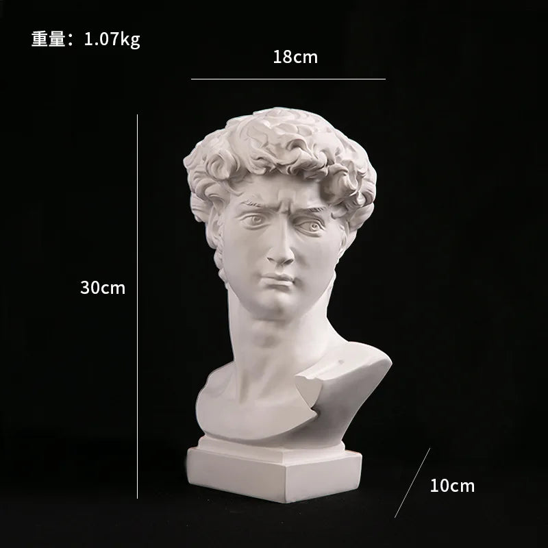 GUGUGUHOME David Head Resin Bust Sculpture - Modern Abstract Art