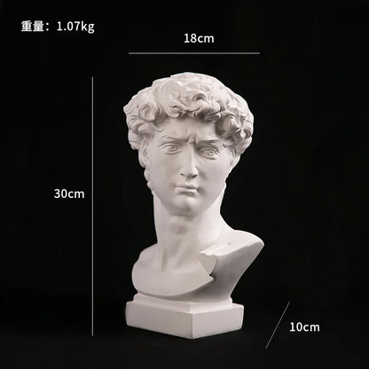 GUGUGUHOME David Head Resin Bust Sculpture, Modern Abstract Art Statue