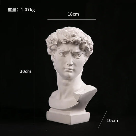GUGUGUHOME David Head Resin Bust Sculpture, Modern Abstract Art Statue