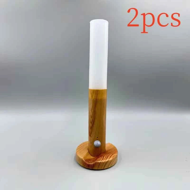 LED Night Light USB Charging Intelligent Human Induction For Bedside Cabinet Home Wardrobe Lighting Motion Sensor Light Led Lamp