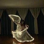 LED Isis Wings for Belly Dance & Performance