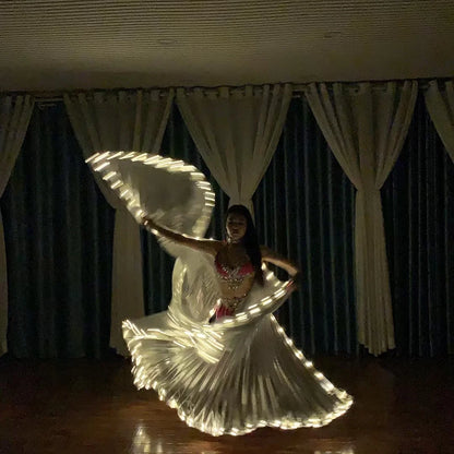 Belly Dance LED Isis Wings Both Sides Fluorescent Butterfly Performance Belly Dancing Bellydance Carnival Led Costumes Shows