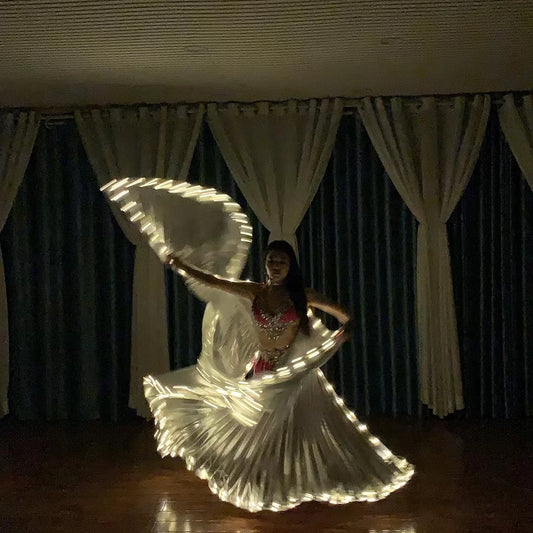 Belly Dance LED Isis Wings Both Sides Fluorescent Butterfly Performance Belly Dancing Bellydance Carnival Led Costumes Shows