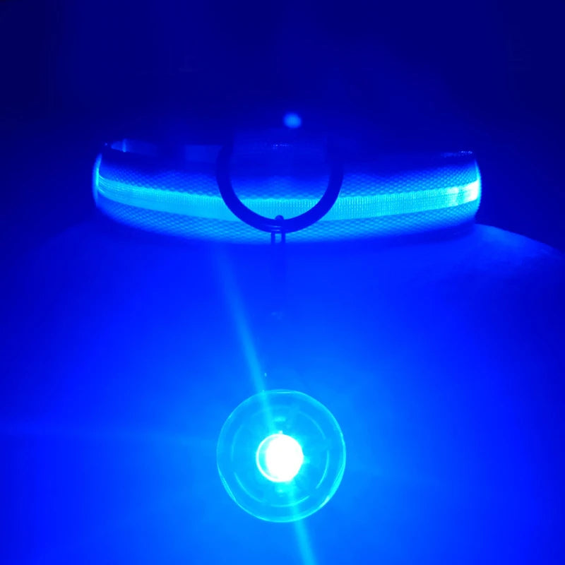 Usb Charging Glowing Dog Collar With Pendant Detachable Luxury Led Light Bright For Small Dogs Cat Night Safety Collar Wholesale SS69