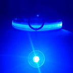 Usb Charging Glowing Dog Collar With Pendant Detachable Luxury Led Light Bright For Small Dogs Cat Night Safety Collar Wholesale SS69