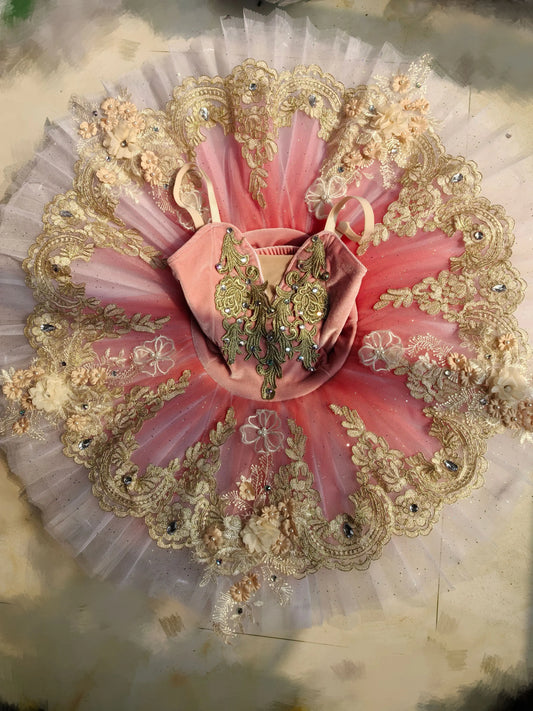 XiuLou Women Professional Ballet Tutu Dress with Lace Applique Performance