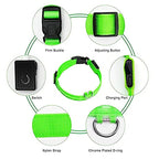 Usb Charging Glowing Dog Collar With Pendant Detachable Luxury Led Light Bright For Small Dogs Cat Night Safety Collar Wholesale SS69
