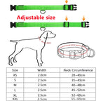 Usb Charging Glowing Dog Collar With Pendant Detachable Luxury Led Light Bright For Small Dogs Cat Night Safety Collar Wholesale SS69